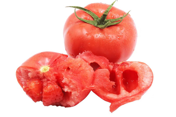 番茄果實顏色評定用標準光源箱